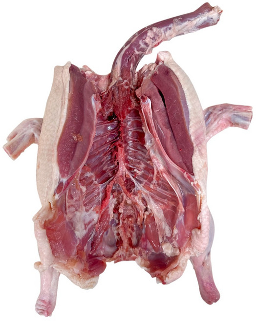 국내산 통오리 백숙 생오리, 2300g, 3개, 28호(2.2kg~2.3kg)개복