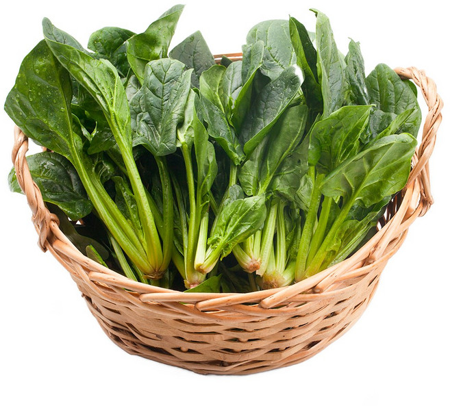 시금치 4KG 국내산 햇 제철 국거리 나물, 1개