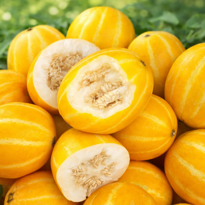 [당도보장] 껍질째먹는 한입 성주 꼬마참외 미니참외, 1박스, 꼬마참외 1kg