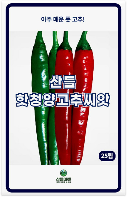 산들 핫청양 고추 씨앗 25립 아주 매운 중생종 고추씨 종자, 1개