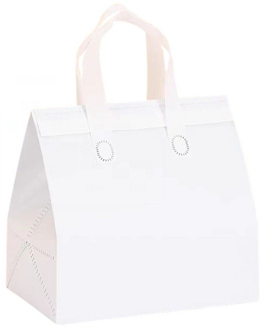 smileorange 보냉가방 보냉백 도시락 보냉백(미니/소형/중형/대형) 은박 보온보냉 테이크아웃 커피 쿨러백 일회용/재사용 아이스가방, 10개, 흰색