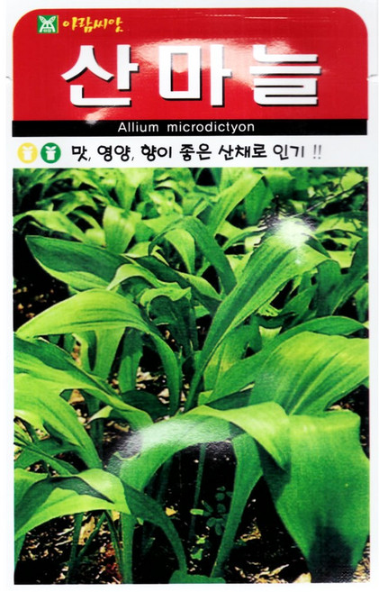 아람종묘 산마늘 씨앗 50립, 1개