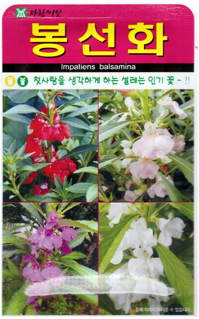 봉선화 씨앗 (합 1500립) 봉숭아 꽃씨 종자, 3개