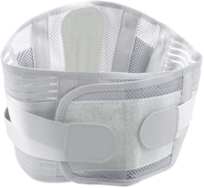 포스처랩 허리보호대 허리디스크 복대, 1개