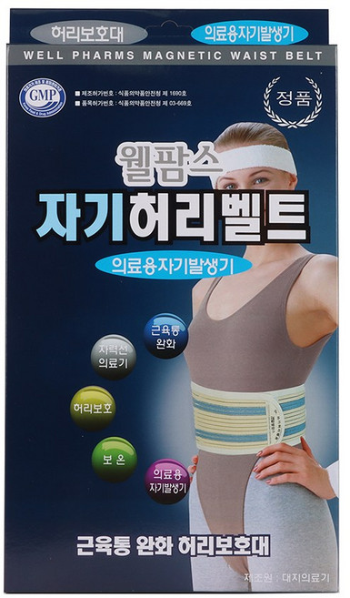 웰팜스 자기허리벨트/허리보호대/허리밴드, 1개