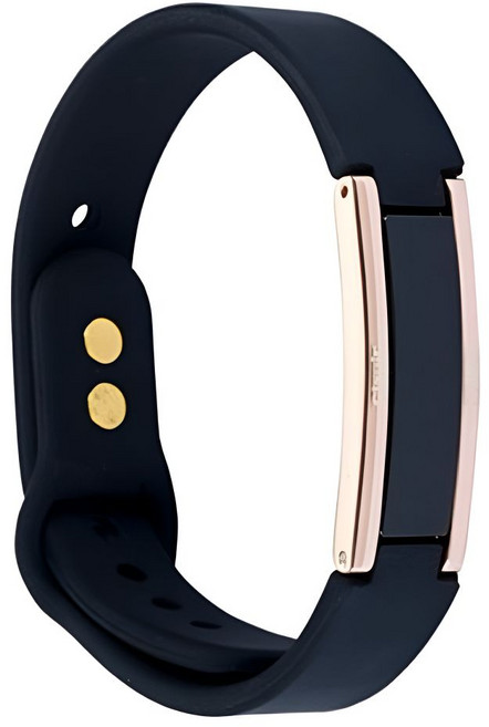 클라비스 헤라 건강팔찌 근육통완화 식약처 의료기기 네오디뮴, 블랙, 화이트골드, 1개