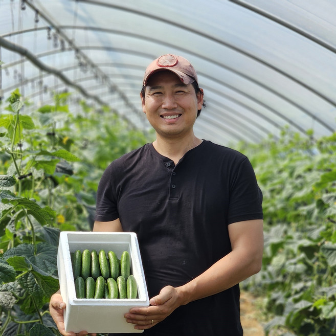 미니오이 스낵오이 미니스탑, 1개, 2kg