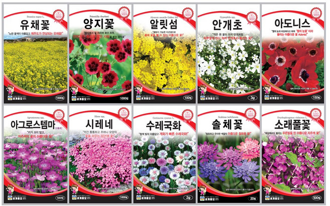 모듬 꽃씨앗 10종 C세트 봄 가을 사계절 파종 소래풀꽃 솔체꽃 수레국화 시레네 아그로스템마 아도니스 안개초 알릿섬 양지꽃 유채꽃 꽃씨 모음, 1개