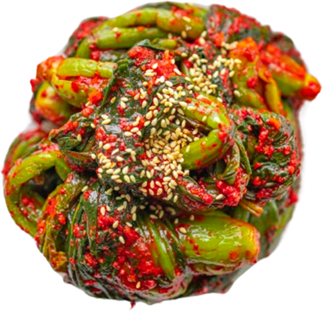 오늘 갓 담아 바로 보내드리는 전라도식 맛있는 돌산 해풍 맞고 자란 갓김치, 1개, 1kg