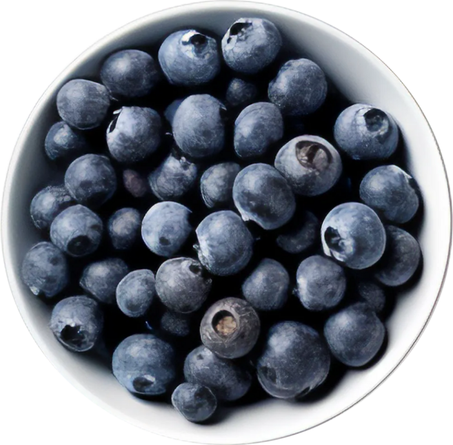 당도보장 국산 생블루베리 생과 블루베리, 1개, 블루베리 왕특-왕왕 300g