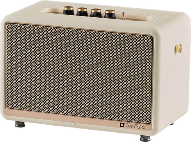 코지테일러 고출력 5.25인치우퍼 TWS EQ모드 블루투스 스피커 B160, 아이보리, CT-100W