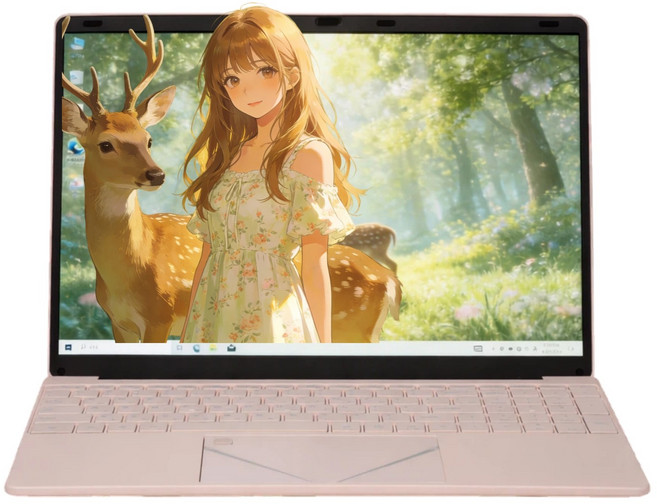 가성비 끝판왕! 노트북/16.1인치 몰입감 인강 사무 재택근무용/부드러운 사용감 / 16GB+512GB / 초보자용 입문용 가정용 직장인 대학생/편하게 쓰기 /쾌적한 작업 환경, I3-6006u, WIN10, 16GB, 512GB, 핑크