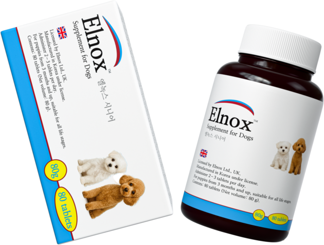 엘녹스 강아지 망병기 영양제 시니어 노령견 영양제 강아지 올인원 영양제 80정, 1개, 종합영양제