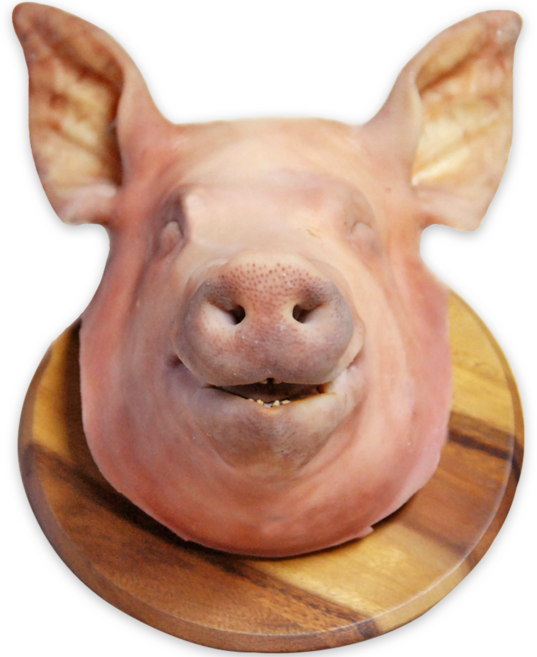 고사용 웃는 돼지머리 국내산 돼지 통머리 고사머리 개업식 고사상차림, 1개, 5kg