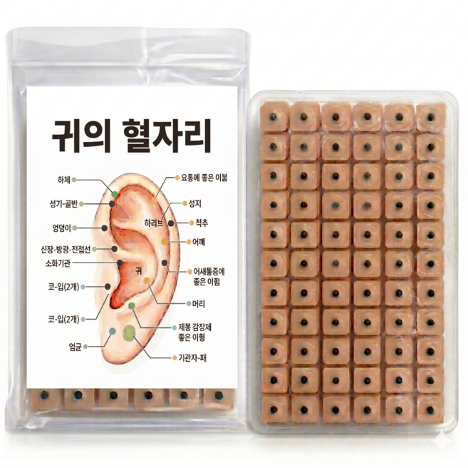 데일온 혈자리 경락 귀 지압 패치 600개, 내츄럴, 1개