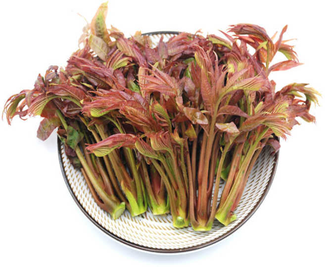 동네이장님만 알고먹던 가죽나물 갓수확 신선배송, 1세트, 500g