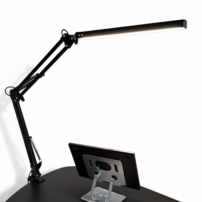 인터리더 LED 스탠드 책상 공부 독서등 엔틱 침대 조명, 클램프형 블랙