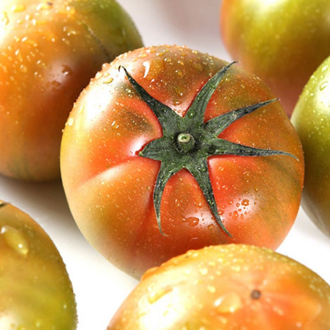 [쿠폰특가] 단짠단짠 정품대저 고당도 짭짤이토마토, 1세트, 500g(s-2s)