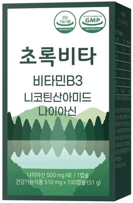 초록비타 고용량 비타민B3 500mg (나이아신아마이드 니코틴산아미드 미국산), 2개, 100정