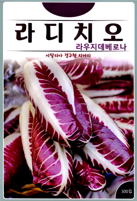 KS종묘 라디치오 300립 라우지데베로나 이탈리아 치커리 샐러드 재료 씨앗 종자, 1개