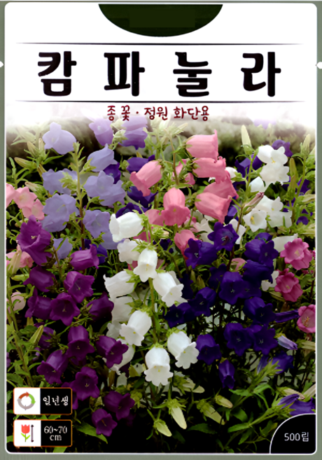 KS종묘 캄파눌라 500립 정원용 화단용 종꽃 꽃씨 씨앗 종자, 1개