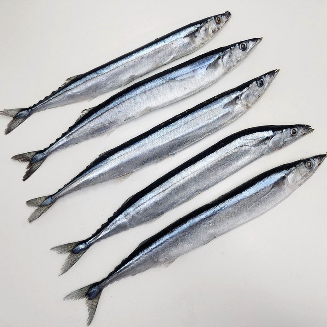 수산잇츠 냉동 꽁치 5미, 1개, 400g