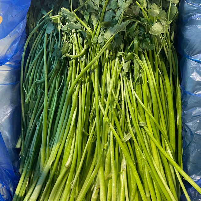 국내산 미나리 4kg, 1개