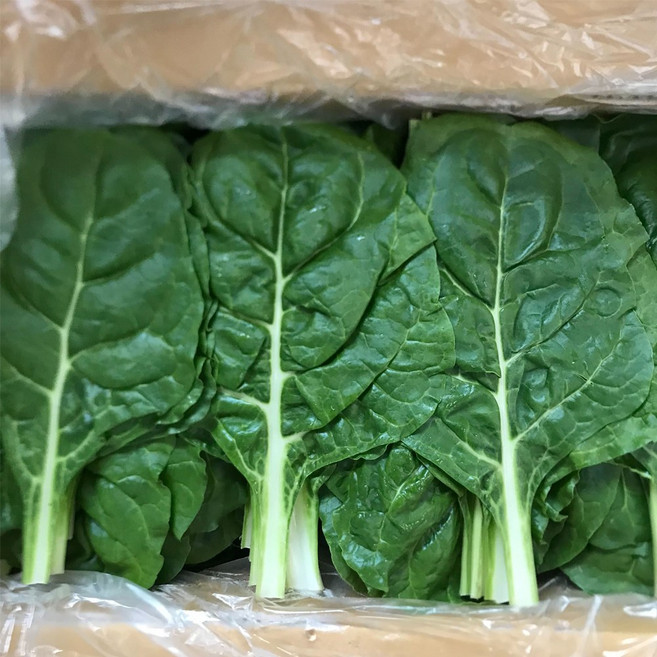 근대 4kg, 1개