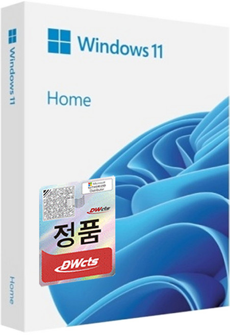 마이크로소프트 윈도우11 홈 처음사용자용 FPP + USB 8G 사은품, Windows11Home+8GB(사은품)