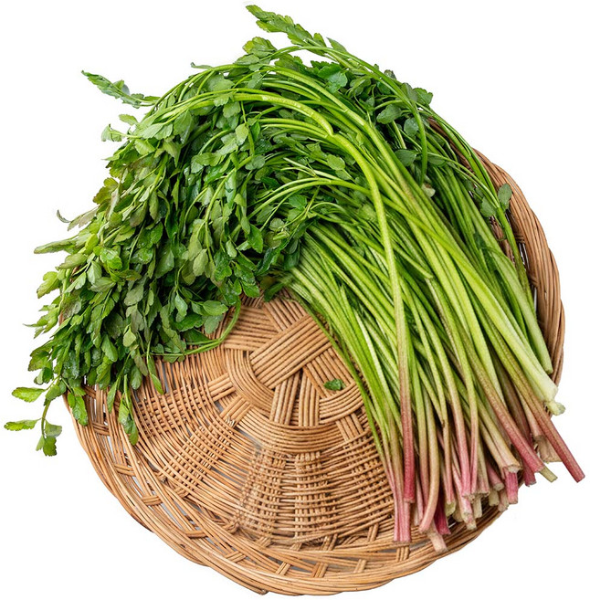 [산지보장] 청도 무농약 선별 한재 미나리, 1kg, 1개