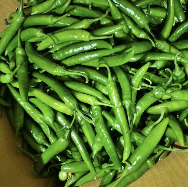 4위 - 국내산 청양고추 땡초 매운고추 대량 식자재 10KG, '상'품, 1개