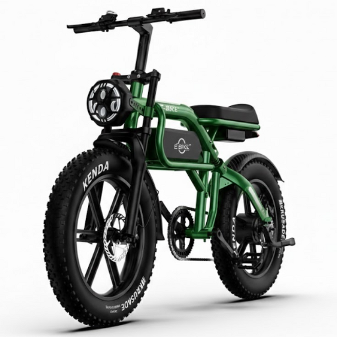 웨이라이드 자토바이 750W 광폭 KENDA 타이어 듀얼 서스펜션 전기자전거, 포레스트그린, 프리미엄 48V 20Ah (주행70km)