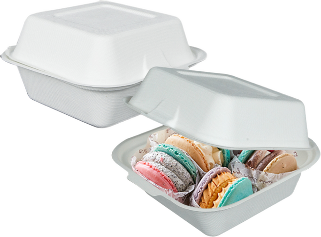 TYP 펄프용기 햄버거용기 HC07 250개, 1세트, 화이트