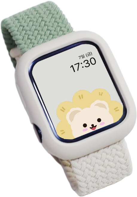 아이비온 애플워치 솔로 루프 메탈 스트랩 + 케이스 세트, 포레스트