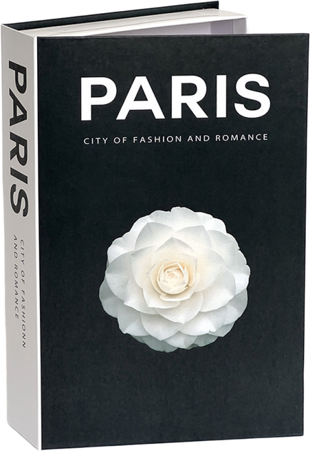 말랑킷 모형책 리모컨 수납함 책모양 인테리어 정리함, 1개, 파리