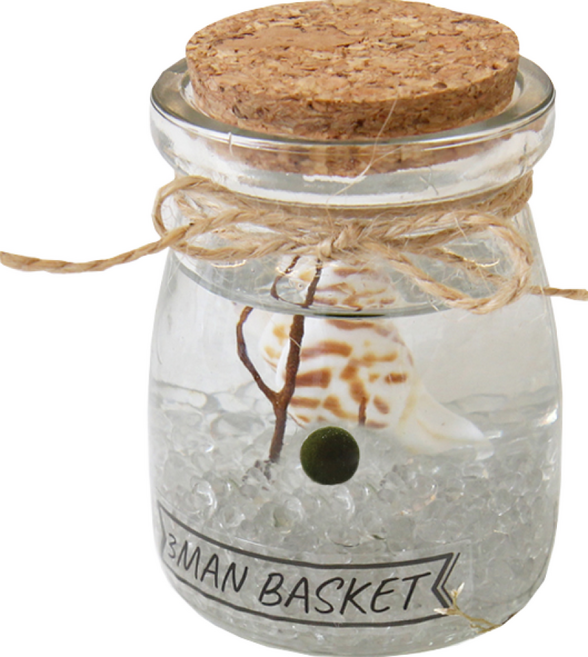 세남자바스켓 푸딩병 국산 마리모 DIY세트, 투명 자갈, 1개