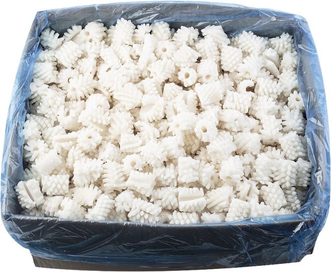 자숙 솔방울 오징어 10kg 일반형, 일반형 10kg, 1개