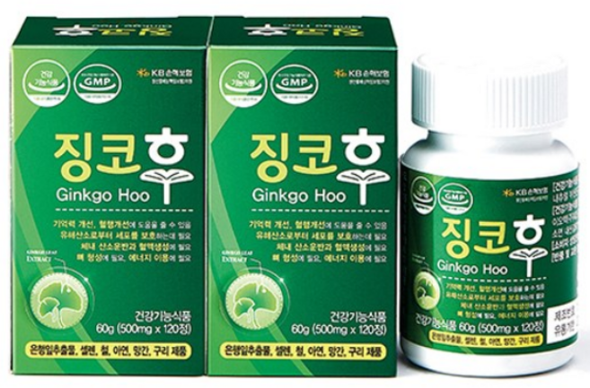 징코후 은행잎추출물 혈행개선 기억력개선, 3박스, 120정