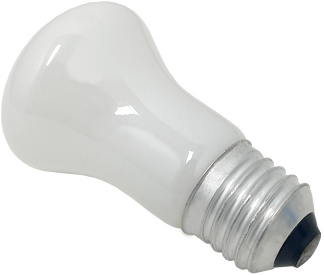 포커스 백열전구 40W 미니크립톤 E26 소형 꼬마전구 백열등 전구색 M50, 10개