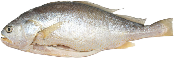 해물총각 손질 부세조기 1마리 (특대), 1개