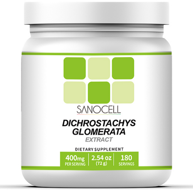 사노셀 다이크로스타키스글로메라타 추출물 분말, 1개