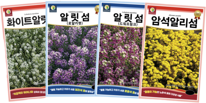 [주주씨앗] 알리섬 4종세트 키작은 다년생 꽃잔디 알릿섬 꽃씨 꽃씨앗 월동 봄 가을 파종 작물, 1개