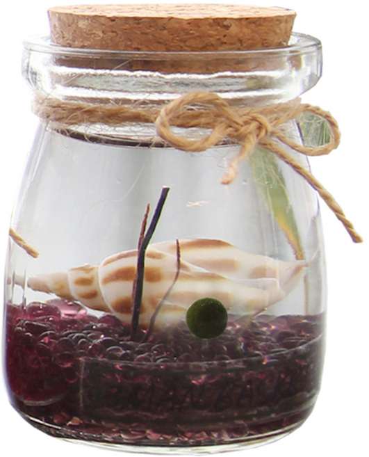 세남자바스켓 푸딩병 국산 마리모 DIY세트, 자주 자갈, 1개