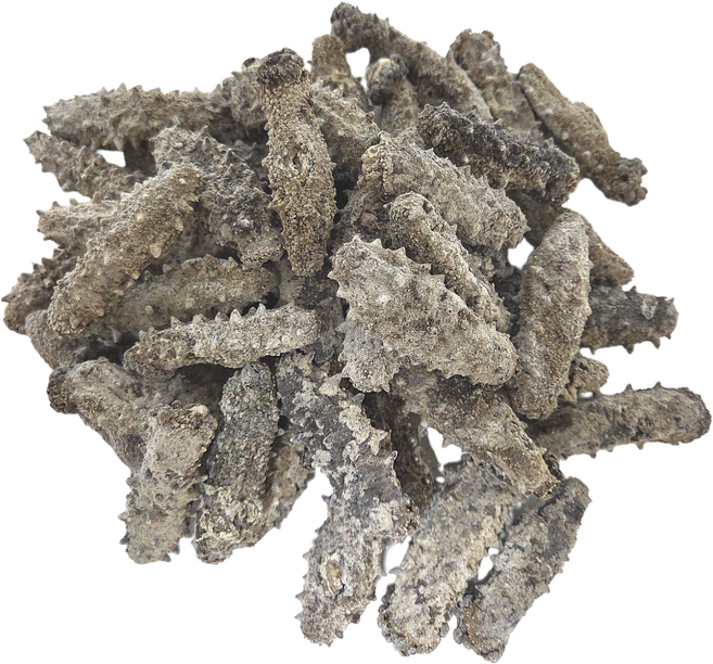 건해삼 200그램 국산해삼 마른 말린 중식 해삼 최고급해삼 원산지 국내산, 1개, 200g