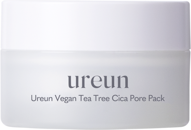 유아른 비건 티트리 시카 모공팩 100g, 1개, 1개입