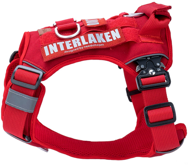 인터라켄커스텀 중형견 대형견 강아지 하네스, 레드, 1개