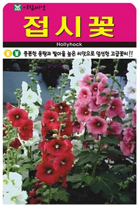 저스틴앤클로이 접시꽃100립 고급꽃씨, 5개