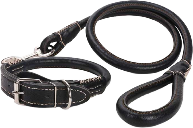레오펫 반려견 중대형견 가죽 라운드 로프 목줄 + 리드줄 세트, 블랙, 1개