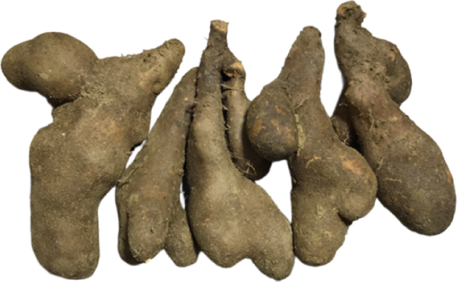 국산 주먹마 파지마 1kg 생마 알뜰마 마쥬스 마전 마요구르트 마우유, 1개