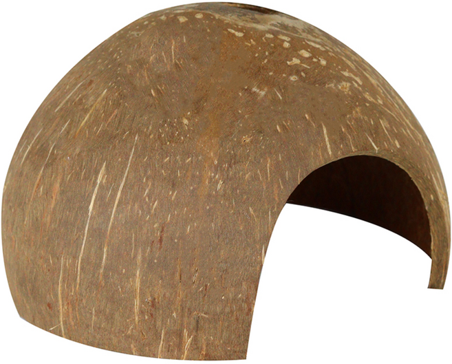 모비딕 코코넛 은신처, 1개